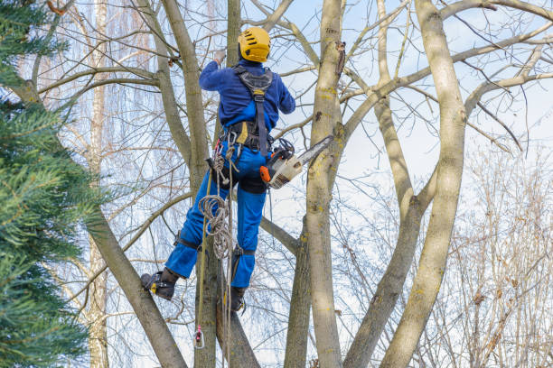 Seasonal Cleanup in Atco, NJ